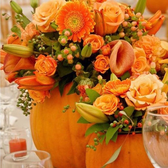 Meet your Posher, Andre - Picture 1 of 1